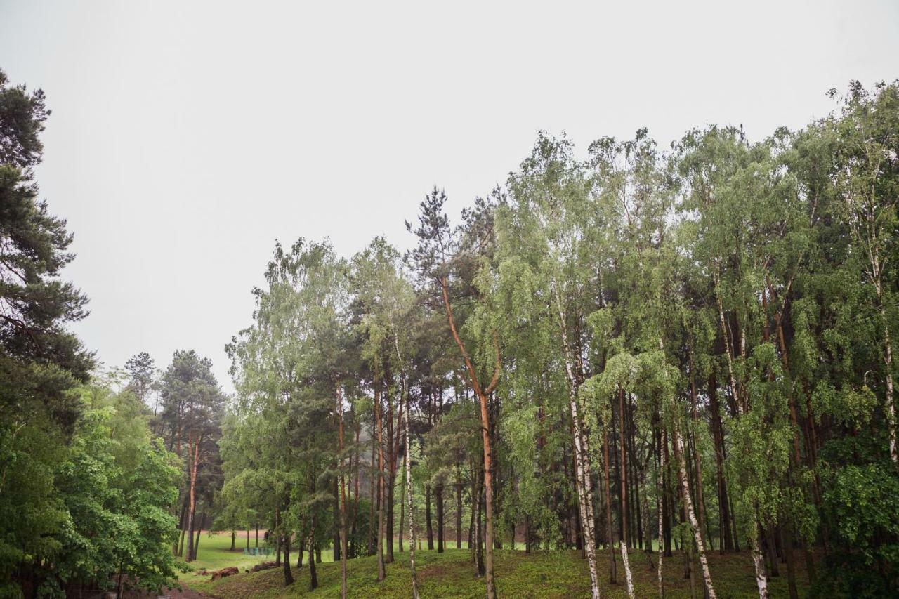 Apartament Iwona Kobyla Gora Luaran gambar